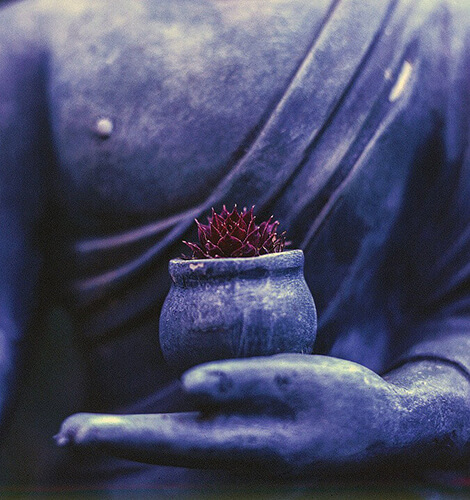 buddha meditazione guidata